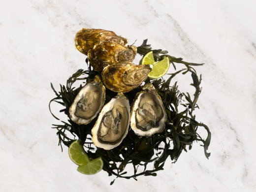 Franse Gillardeau oesters nr.°3 (per 12, 24 en 48 stuks)