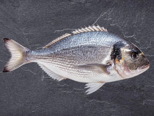 Goudbrasem (500g)