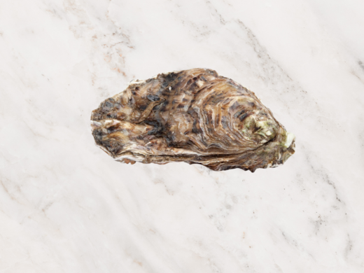 St. Camelot Oesters (per 6 st)